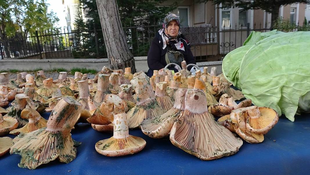 Dağlardan bereket fışkırdı, köylünün yüzü güldü! Kilosu 100 TL'ye kadar düştü 13